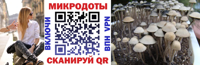 Галлюциногенные грибы Magic Shrooms  Купить  Знаменск 